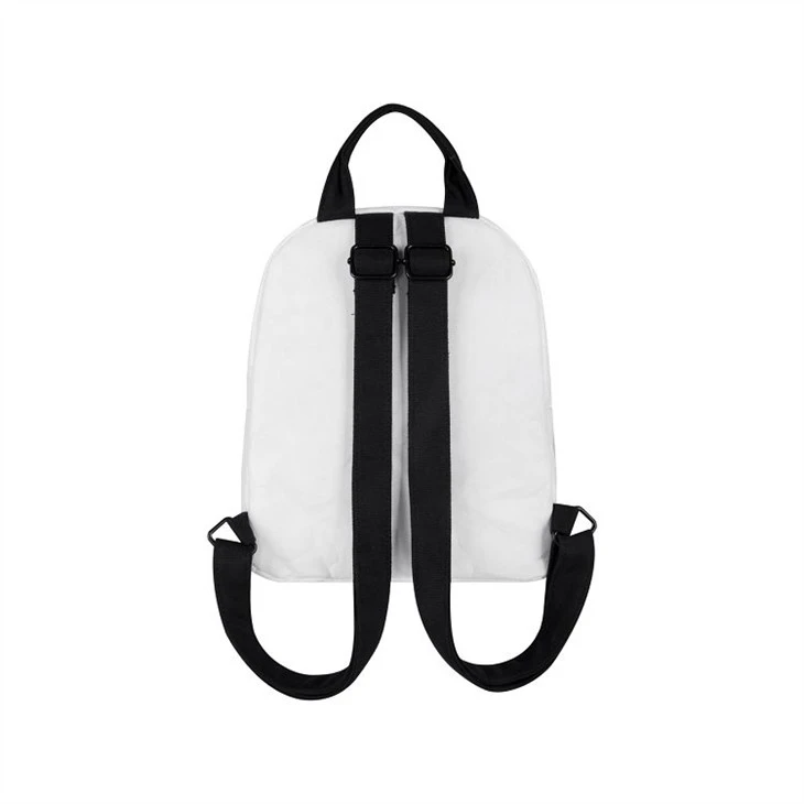 TYVEK PAPER BAG-BACK(001)
